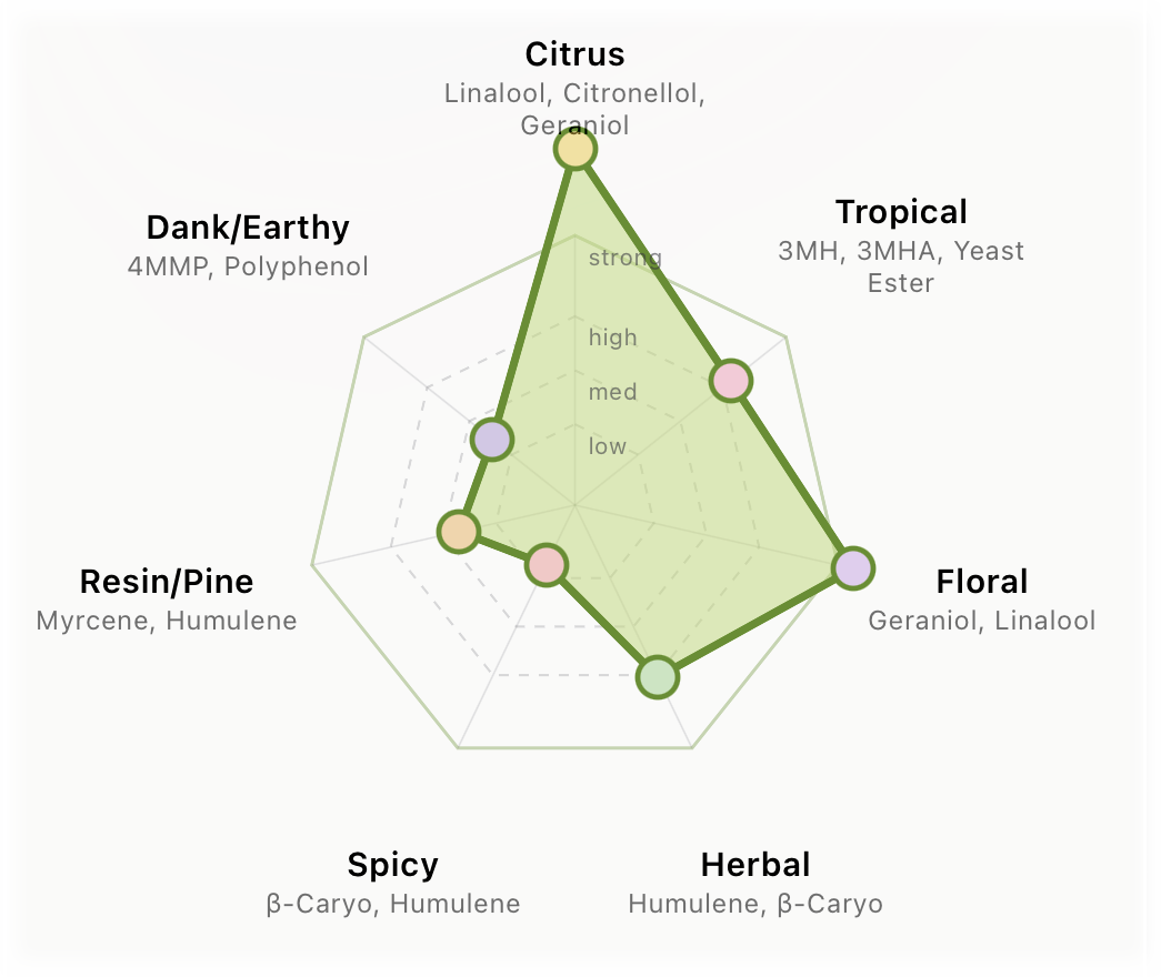 The Hoparoma aroma forecast radar from a real device, plotting a recipe across seven aroma axes — Citrus, Tropical, Floral, Herbal, Spicy, Resin/Pine and Dank/Earthy — with the modelled profile drawn as a filled green polygon